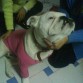 posando
